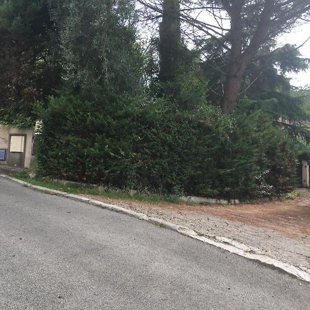 Le Cannet 10Mn Cannes Chambre Independante Etage D'Une Maison Avec Piscine Exterior foto